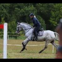 Profilbild Lea