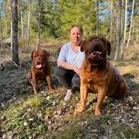 Profilbild