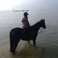 Profilbild