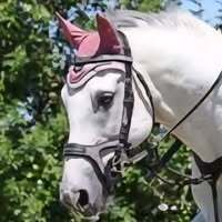 Profilbild Heidi Petzing