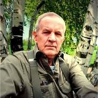 Profilbild