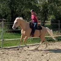 Profilbild