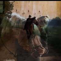 Profilbild Mila (gesprochen maila )