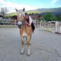 Profilbild