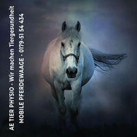 Profilbild AE Tier Physio