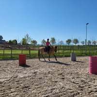 Profilbild Janine Zaugg