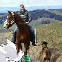 Profilbild