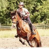 Profilbild