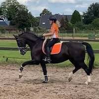 Profilbild
