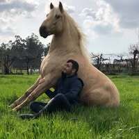 Profilbild