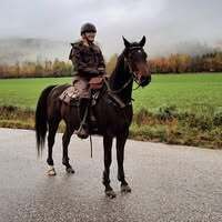 Profilbild