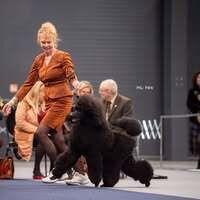 Profilbild Liane Kubbe