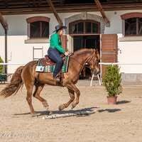Profilbild